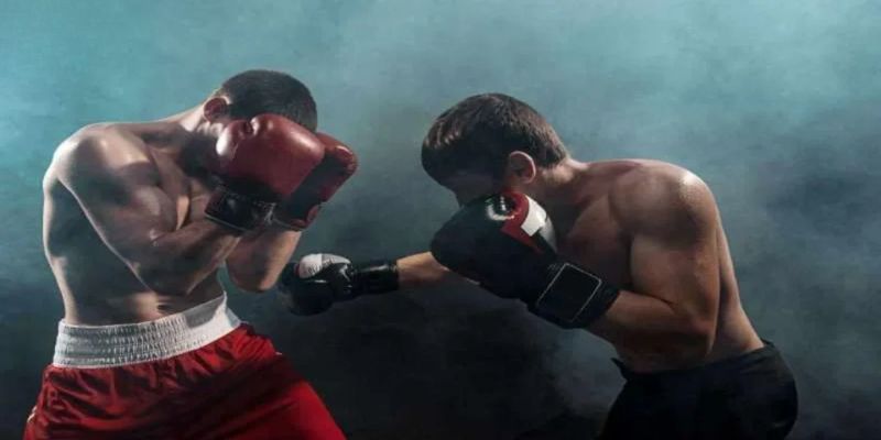 Giới thiệu chung cá cược boxing tại RR88