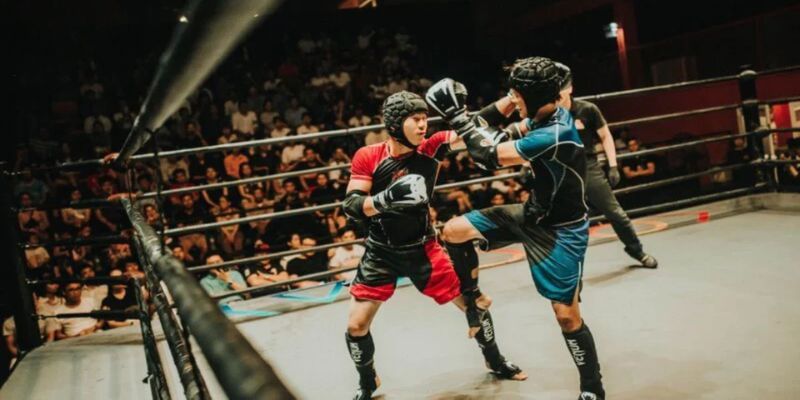 Tổng hợp loại kèo trong cá cược boxing